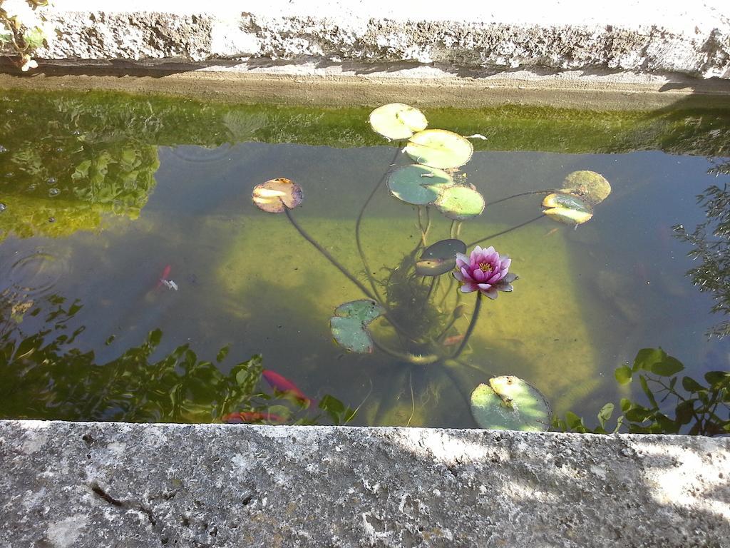 Poggio Mario Βίλα Saturnia Εξωτερικό φωτογραφία